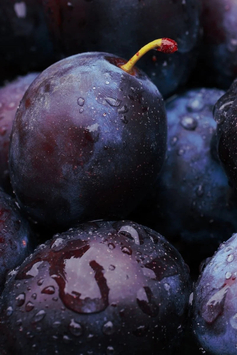 NATIVA SPA BLACK PLUM BODY LOTION - 400ML